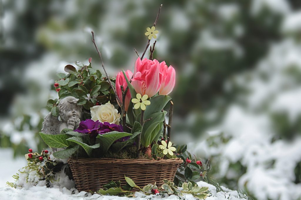 entretien de jardin en hiver