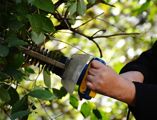 entretien de jardin