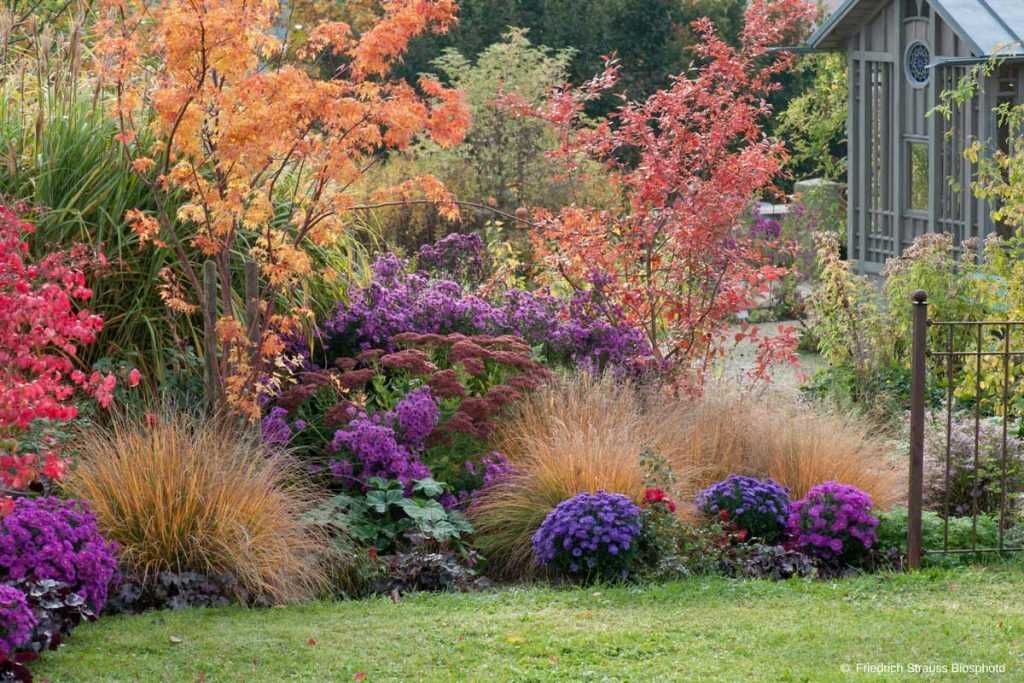 massifs de jardins