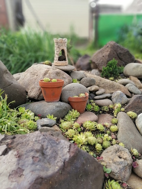 un jardin de rocaille
