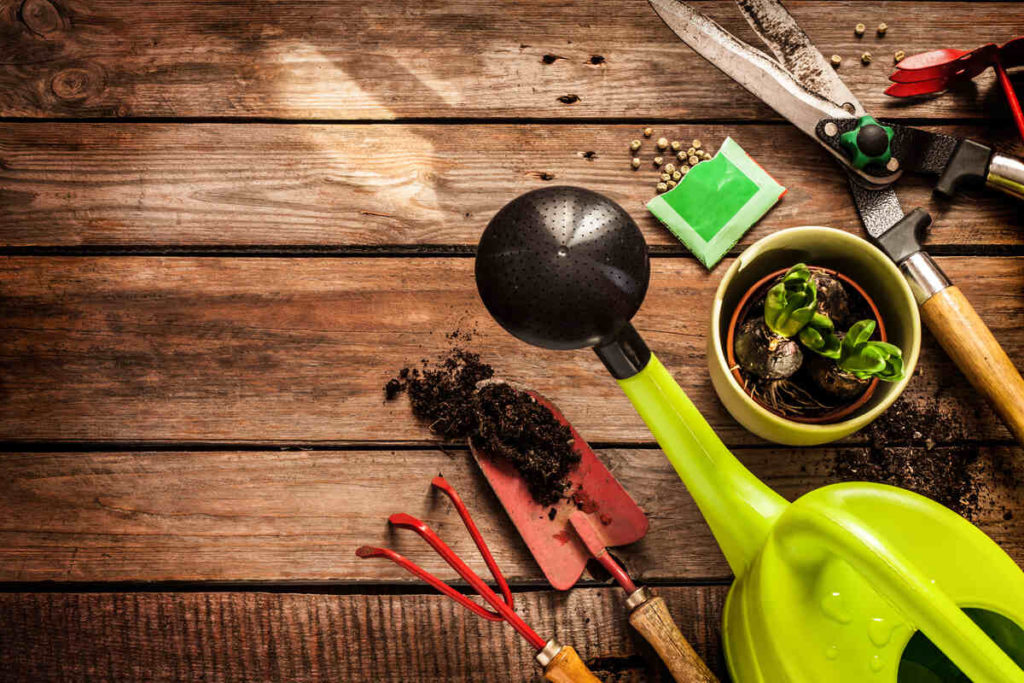Comment mettre vos outils de jardinage en location ?