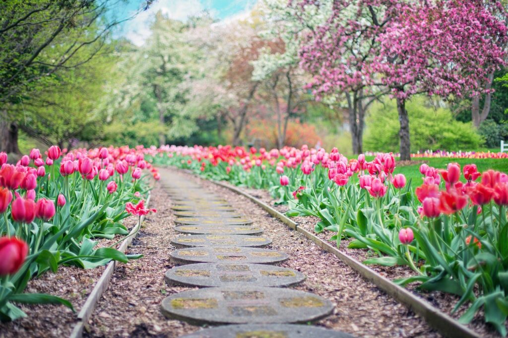 aménager un jardin créole