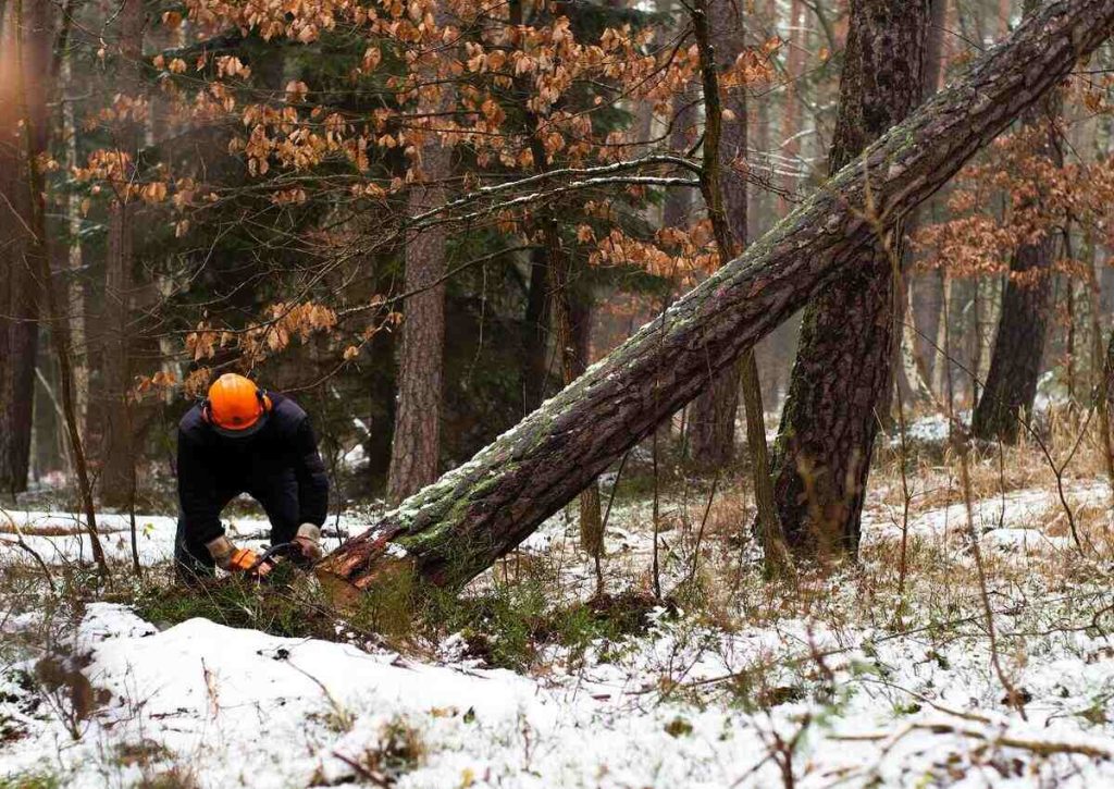 Comment abattre un arbre dans un environnement urbain dense sans perturber les activités environnantes ?