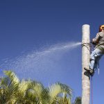 travaux d'abattage