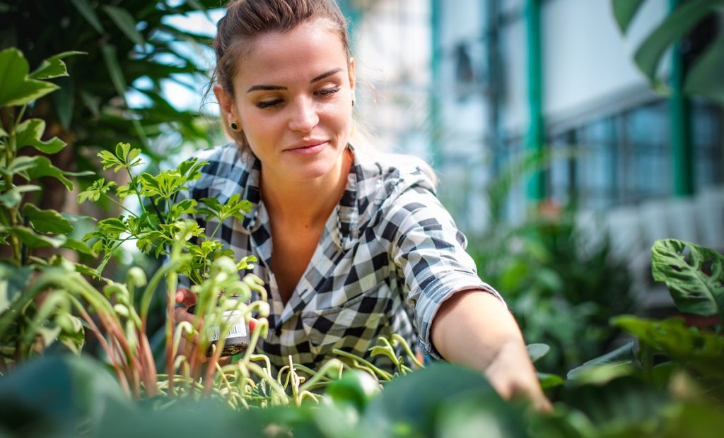 cultures-petits-jardins