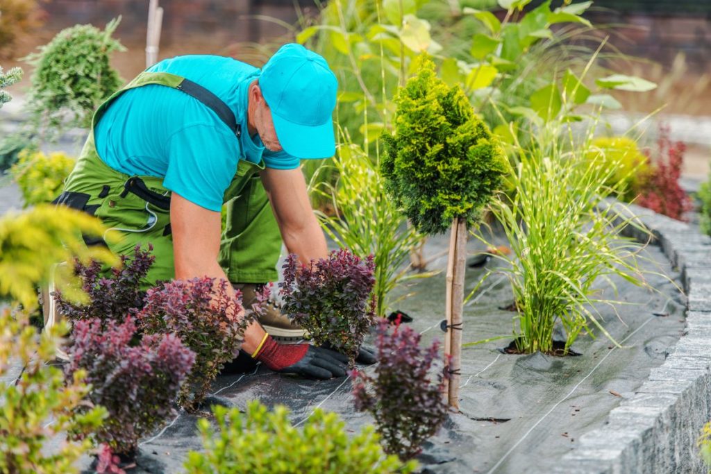 entretien de jardin saisonnier