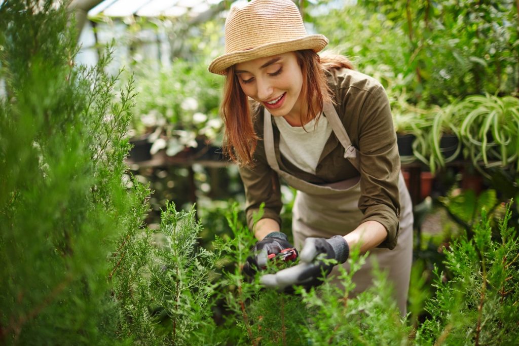 jardinage écologique réussi