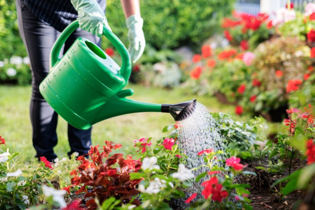 techniques-arrosage-jardin